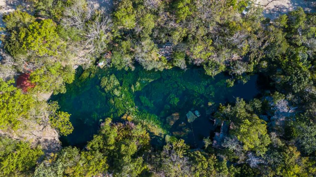 Cenote Eden